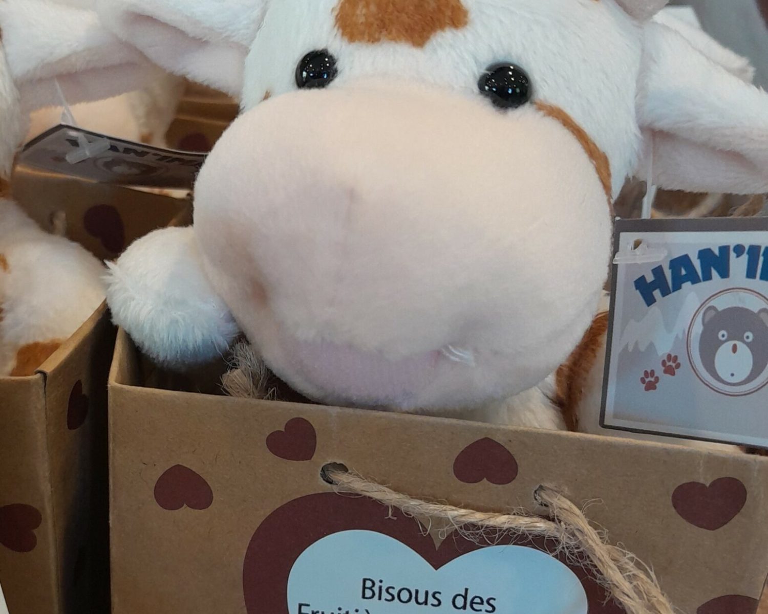 VACHE